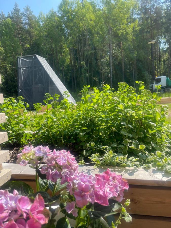 Haalia Homes Turku Paeaeskynpesae Zewnętrze zdjęcie